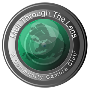 Mull Through The Lens - Logo